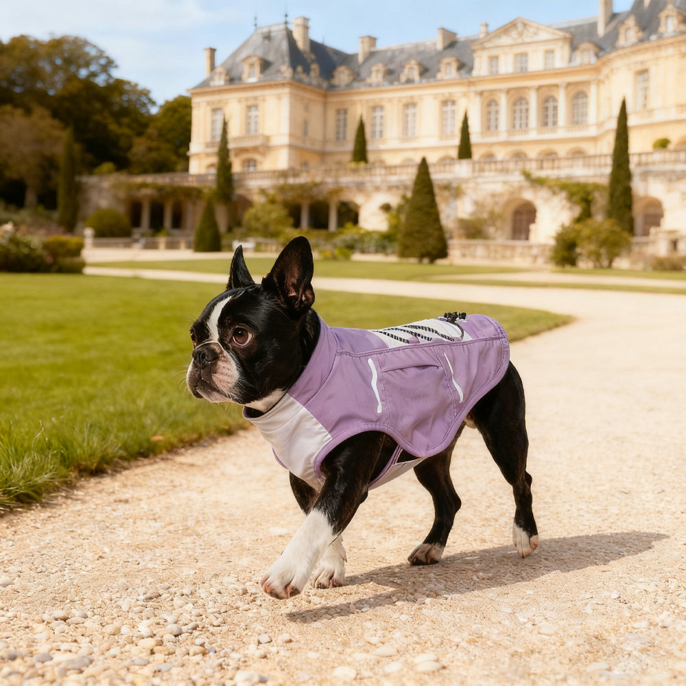 Waterproof Reflective Dog Jacket – Lavender Purple