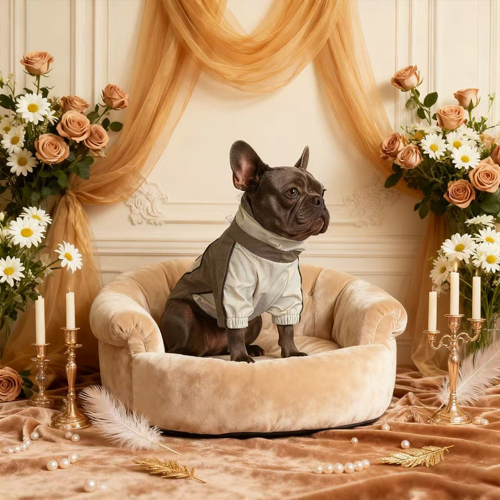 Waterproof Four-Leg Dog Raincoat Onesie – Olive & Cream