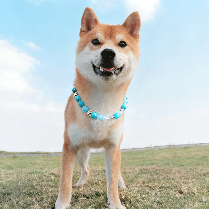 Healing Tiger's Eye Necklace for Pets