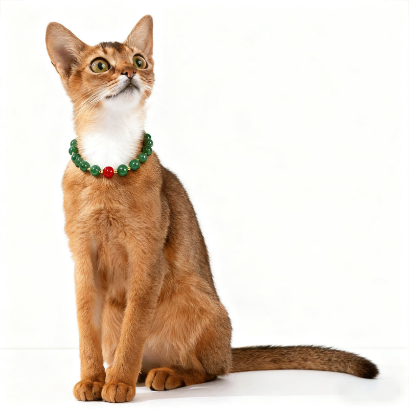 Healing Tiger's Eye Necklace for Pets