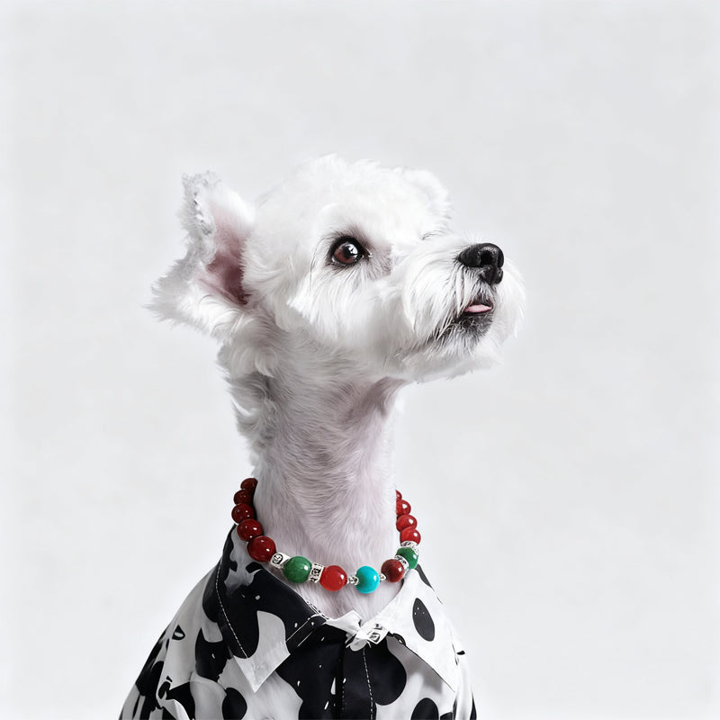 Healing Tiger's Eye Necklace for Pets