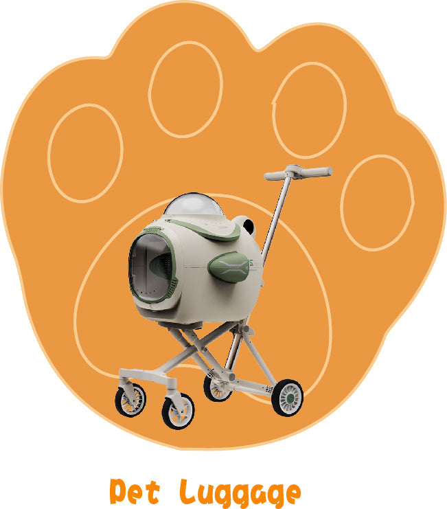 Pet Luggage