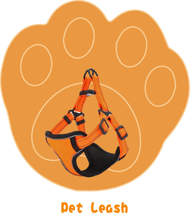Pet Leash