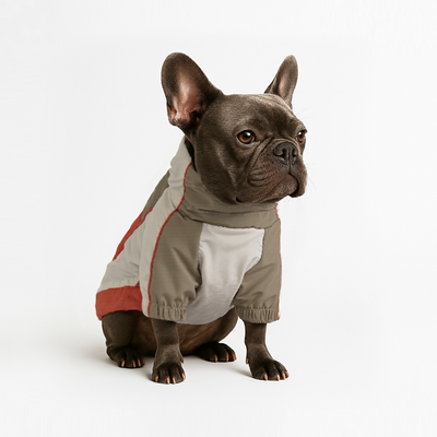 Full-Body Waterproof & Windproof Protection