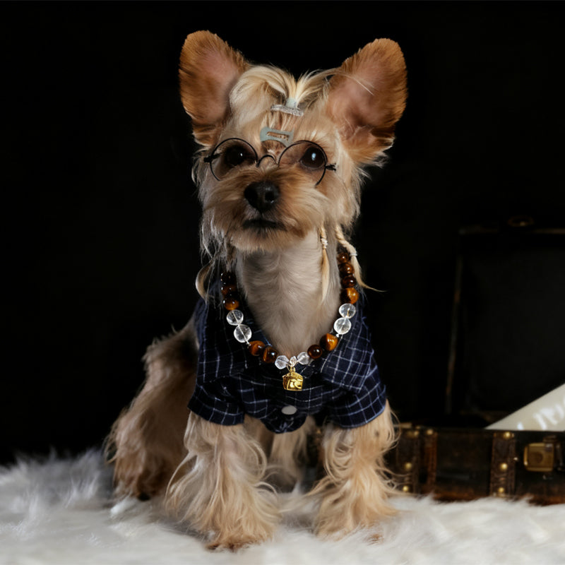 Healing Tiger's Eye Necklace for Pets