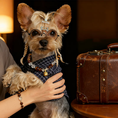 Premium Healing Crystals