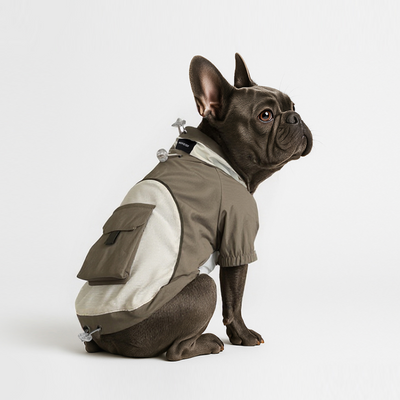 Leash-Compatible & Machine Washable