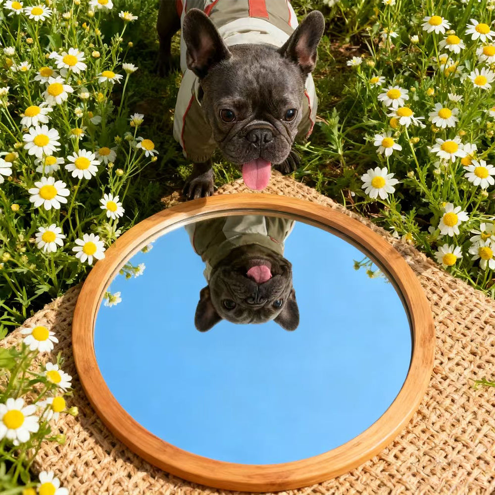 Waterproof Full-Body Dog Snowsuit – Khaki & Red