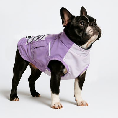 Perfect Fit for Bully Breeds