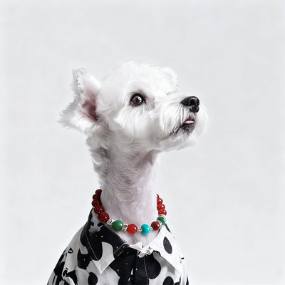 Safe & Comfortable for Daily Wear