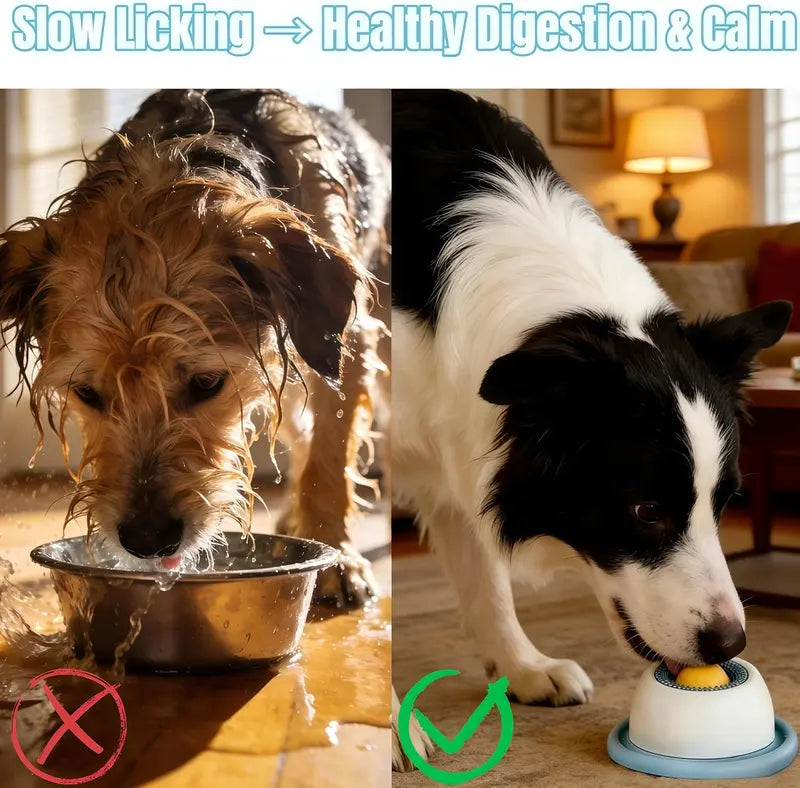 Pawzseek Pet Lick Bowl