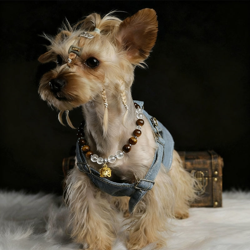 Healing Tiger's Eye Necklace for Pets