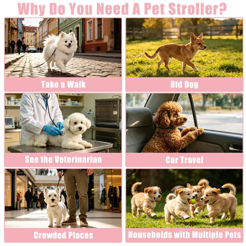 Pawzseek All-in-One Foldable Pet Stroller for Dogs & Cats